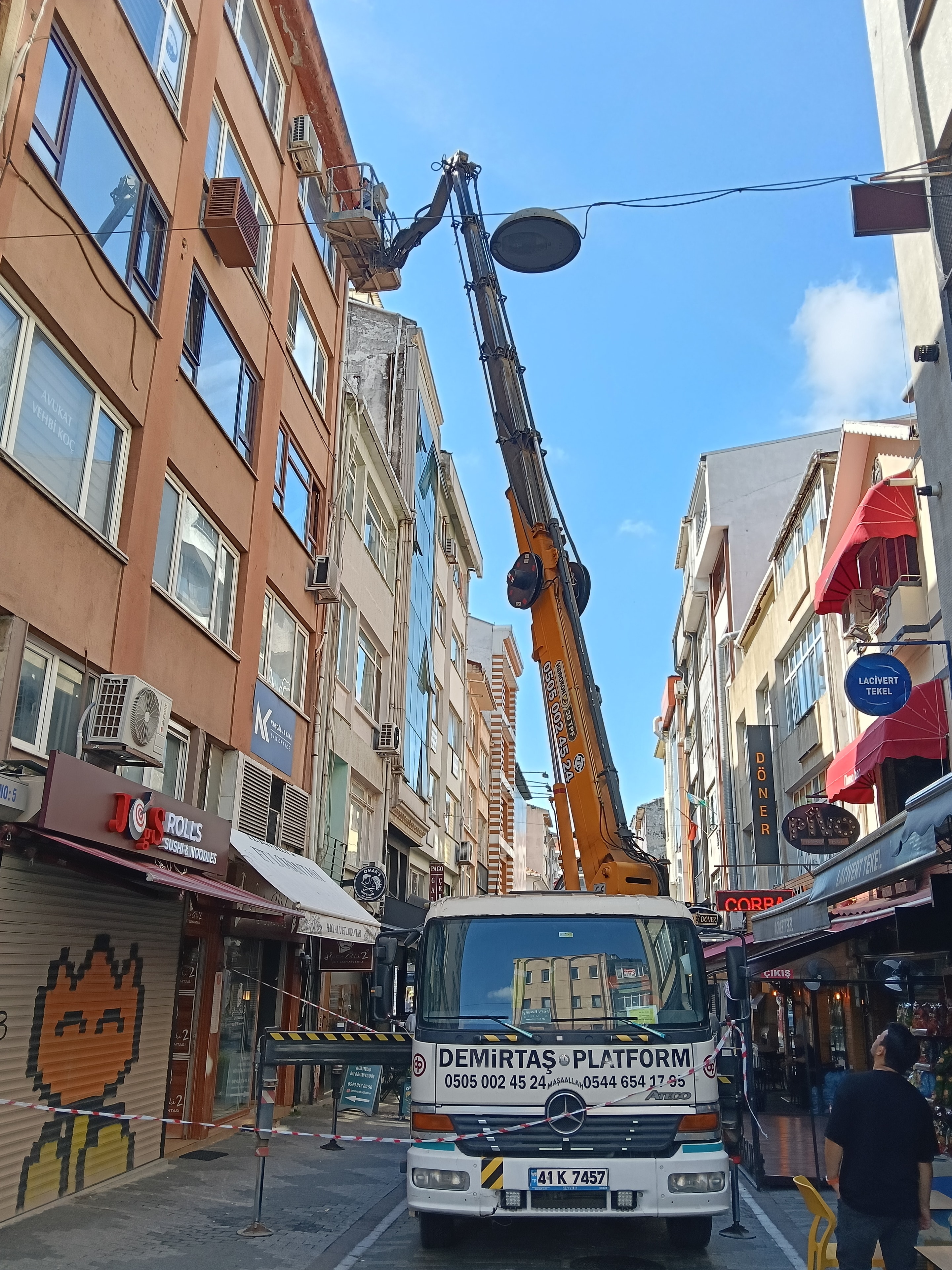Ağaç budama sepetli vinç